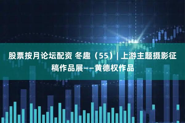 股票按月论坛配资 冬趣（55）| 上游主题摄影征稿作品展——黄德权作品