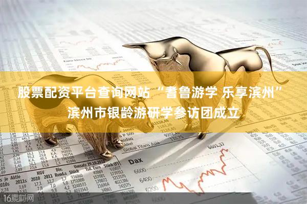 股票配资平台查询网站 “耆鲁游学 乐享滨州” 滨州市银龄游研学参访团成立